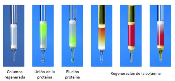 Strep-tag® Protein Purification System