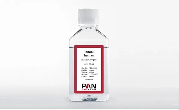 Pancoll_Human