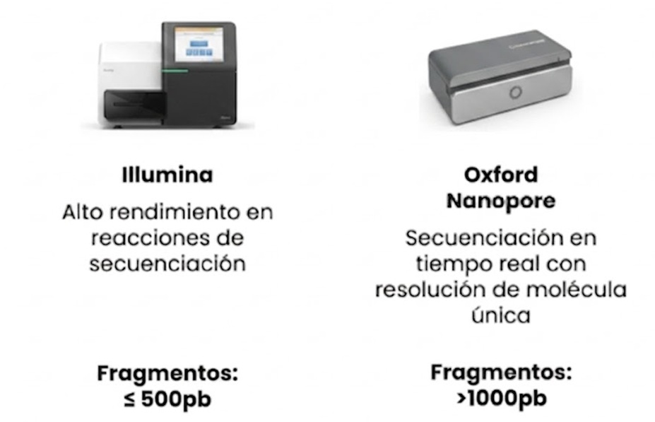 illumina, OXford nanopore