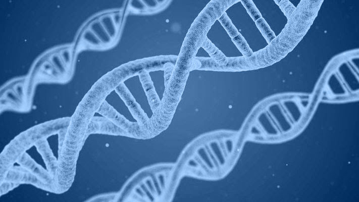 DNA/RNA Analisis