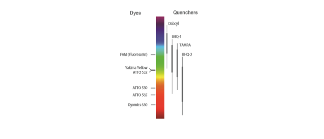 FLUOROCROMOS ECONÓMICOS PARA Q-PCR O GENOTIPADO