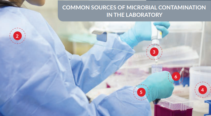 Como combatir la contaminación microbiana en los cultivos