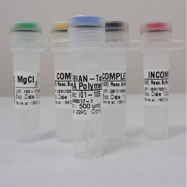 Taq polymerase