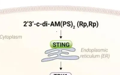 Ligandos STING de InvivoGen para investigación en inmunidad innata